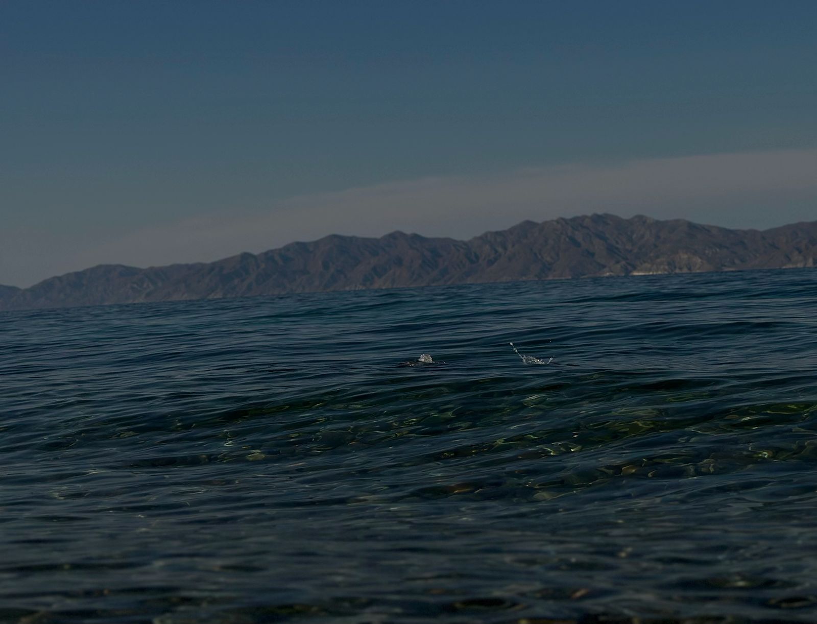 Luxury sailboat sailing on the calm Sea of Cortez at sunset with rugged desert mountains in the background under golden light