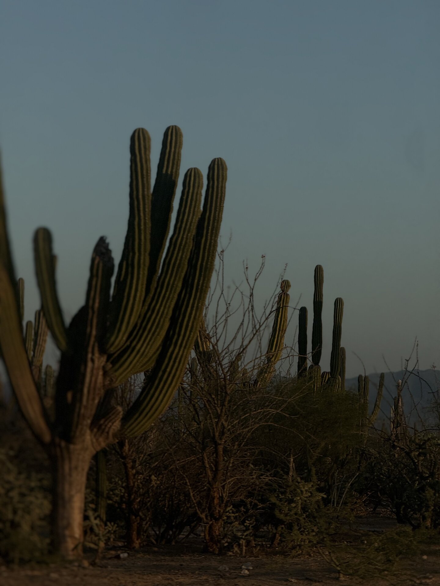 BAIA Atelier luxury experience in Baja California Sur