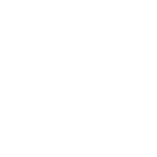 BAIA Atelier